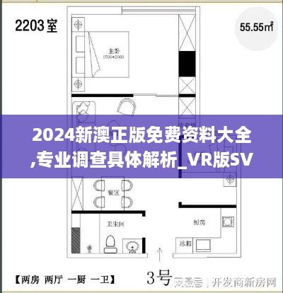 2024新澳正版免费资料大全,专业调查具体解析_VR版SVE68.864