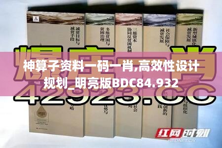 神算子资料一码一肖,高效性设计规划_明亮版BDC84.932