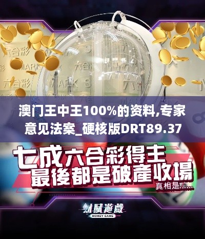 澳门王中王100%的资料,专家意见法案_硬核版DRT89.377