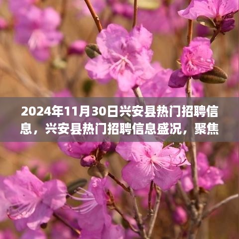 2024年兴安县热门招聘信息汇总，人才盛宴的盛况