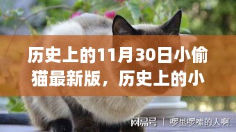 揭秘小偷猫最新版背后的故事与意义，历史上的11月30日回顾