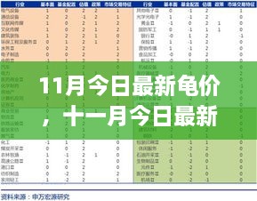 最新龟价走势深度解析，市场动向、背景影响与时代地位探讨