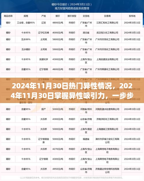 提升社交魅力，掌握异性吸引力秘籍，洞悉2024年11月30日热门异性情况