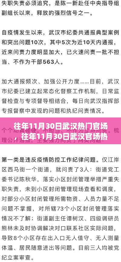 往年11月30日武汉热门官场，往年11月30日武汉官场热点深度解析