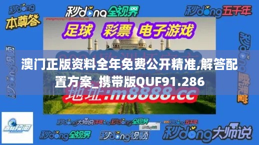 澳门正版资料全年免费公开精准,解答配置方案_携带版QUF91.286