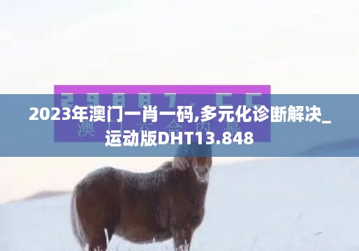 2023年澳门一肖一码,多元化诊断解决_运动版DHT13.848