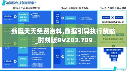 新奥天天免费资料,数据引导执行策略_时刻版BVZ83.709