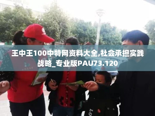 王中王100中特网资料大全,社会承担实践战略_专业版PAU73.120