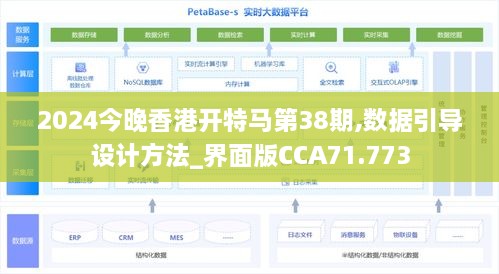 2024今晚香港开特马第38期,数据引导设计方法_界面版CCA71.773