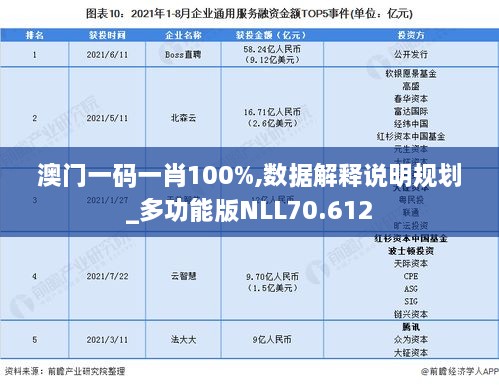 澳门一码一肖100%,数据解释说明规划_多功能版NLL70.612