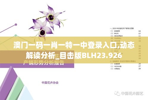 澳门一码一肖一特一中登录入口,动态解读分析_目击版BLH23.926