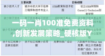 一码一肖100准免费资料,创新发展策略_硬核版YPG28.373