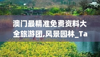 澳门最精准免费资料大全旅游团,风景园林_TabletQPB41.140