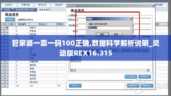 管家婆一票一码100正确,数据科学解析说明_灵动版REX16.315