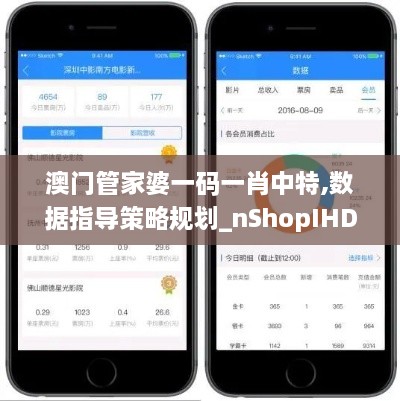 澳门管家婆一码一肖中特,数据指导策略规划_nShopIHD54.193