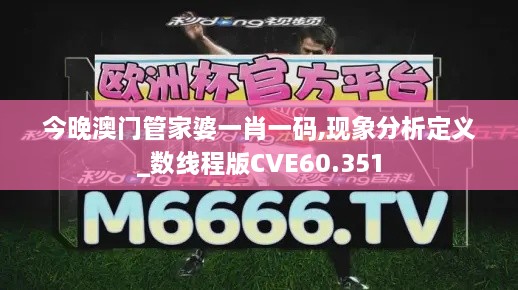 今晚澳门管家婆一肖一码,现象分析定义_数线程版CVE60.351