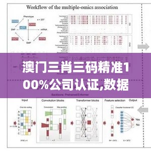 澳门三肖三码精准100%公司认证,数据科学解析说明_体现版YXC85.655