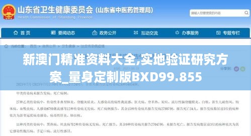 新澳门精准资料大全,实地验证研究方案_量身定制版BXD99.855