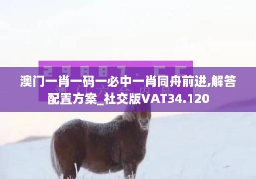 澳门一肖一码一必中一肖同舟前进,解答配置方案_社交版VAT34.120