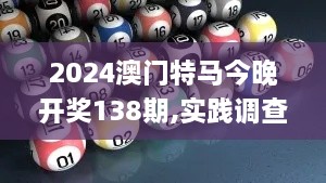 2024澳门特马今晚开奖138期,实践调查说明_原创版WFL41.283