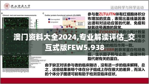 澳门资料大全2024,专业解读评估_交互式版FEW5.938