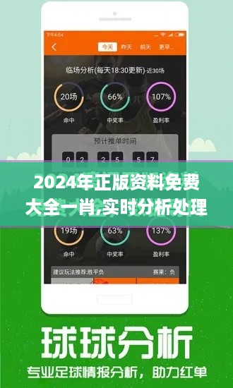 2024年正版资料免费大全一肖,实时分析处理_美学版ZGS87.655