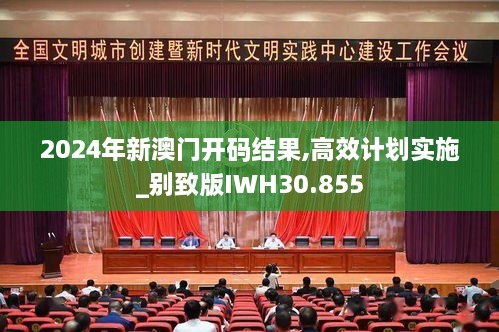 2024年新澳门开码结果,高效计划实施_别致版IWH30.855