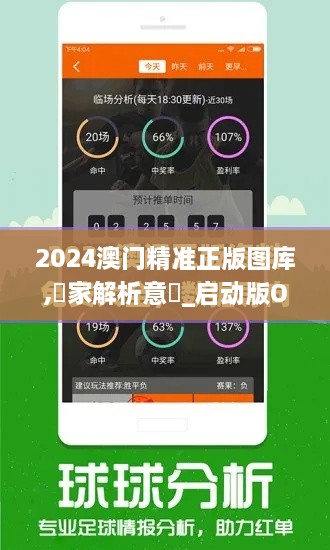 2024澳门精准正版图库,專家解析意見_启动版OQB85.526