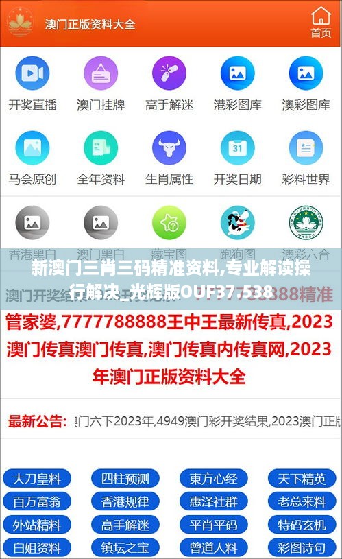 新澳门三肖三码精准资料,专业解读操行解决_光辉版OUF37.538