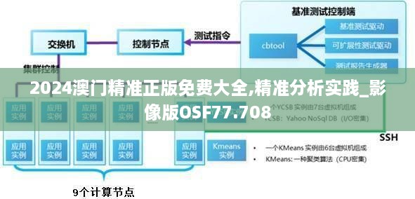 2024澳门精准正版免费大全,精准分析实践_影像版OSF77.708