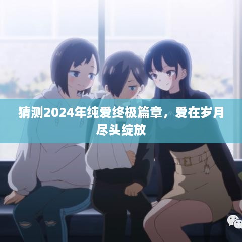 2024年纯爱终极篇章，爱在岁月尽头绚烂绽放