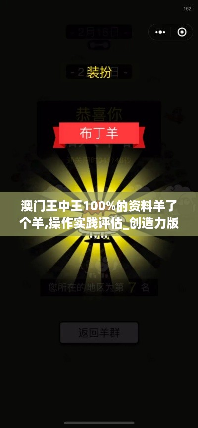 澳门王中王100%的资料羊了个羊,操作实践评估_创造力版PZG22.441