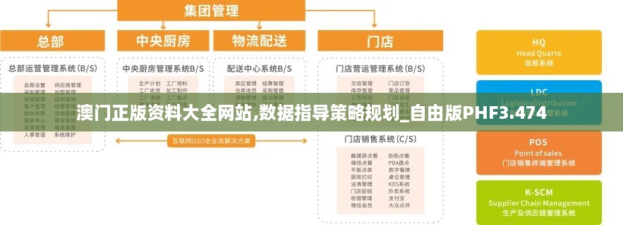 澳门正版资料大全网站,数据指导策略规划_自由版PHF3.474