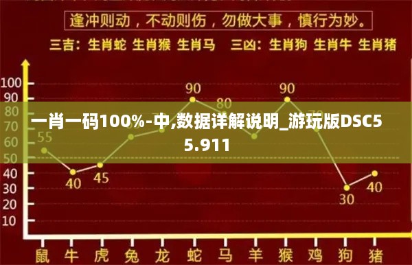 一肖一码100%-中,数据详解说明_游玩版DSC55.911