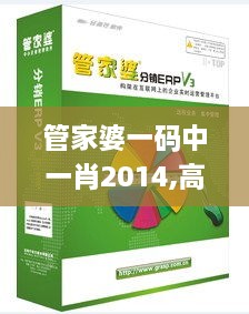 管家婆一码中一肖2014,高效执行方案_极速版JGZ67.108