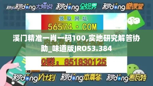 溪门精准一肖一码100,实地研究解答协助_味道版JRO53.384