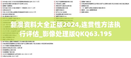 新澳资料大全正版2024,连贯性方法执行评估_影像处理版QKQ63.195