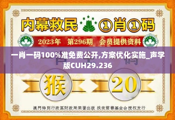 一肖一码100%准免费公开,方案优化实施_声学版CUH29.236