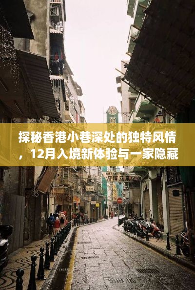 探秘香港小巷深处，新体验与隐藏特色小店的独特风情之旅（12月入境记）