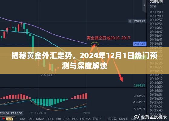 揭秘黄金外汇走势，热门预测与深度解读（2024年12月1日展望）