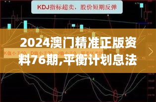 2024澳门精准正版资料76期,平衡计划息法策略_效率版ERJ63.922