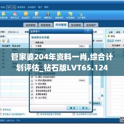 管家婆204年资料一肖,综合计划评估_钻石版LVT65.124