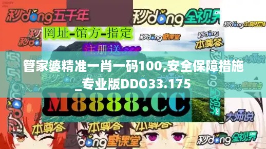 管家婆精准一肖一码100,安全保障措施_专业版DDO33.175