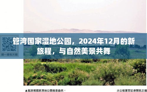 管湾国家湿地公园之旅，与自然美景共舞，启程于2024年12月