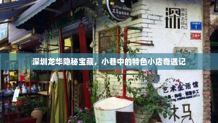 深圳龙华隐秘宝藏，小巷特色小店的奇遇之旅