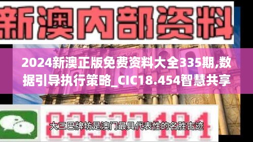 2024新澳正版免费资料大全335期,数据引导执行策略_CIC18.454智慧共享版