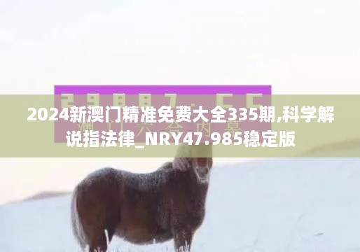 2024新澳门精准免费大全335期,科学解说指法律_NRY47.985稳定版