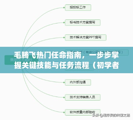 毛腾飞热门任命指南，掌握关键技能与任务流程全攻略（适合初学者与进阶用户）