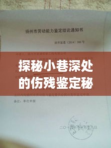 探秘小巷深处的伤残鉴定秘闻与美食故事，十级伤残新标准下的故事