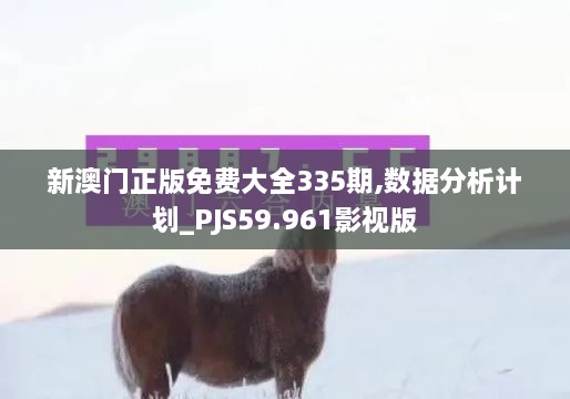 新澳门正版免费大全335期,数据分析计划_PJS59.961影视版